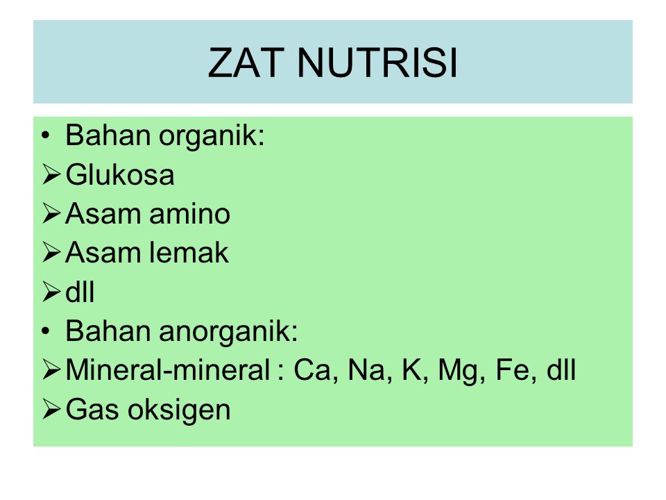 ZAT NUTRISI Bahan organik: Glukosa Asam amino Asam lemak dll