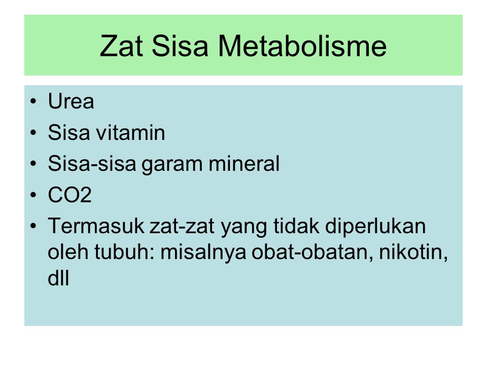 Zat Sisa Metabolisme Urea Sisa vitamin Sisa-sisa garam mineral CO2