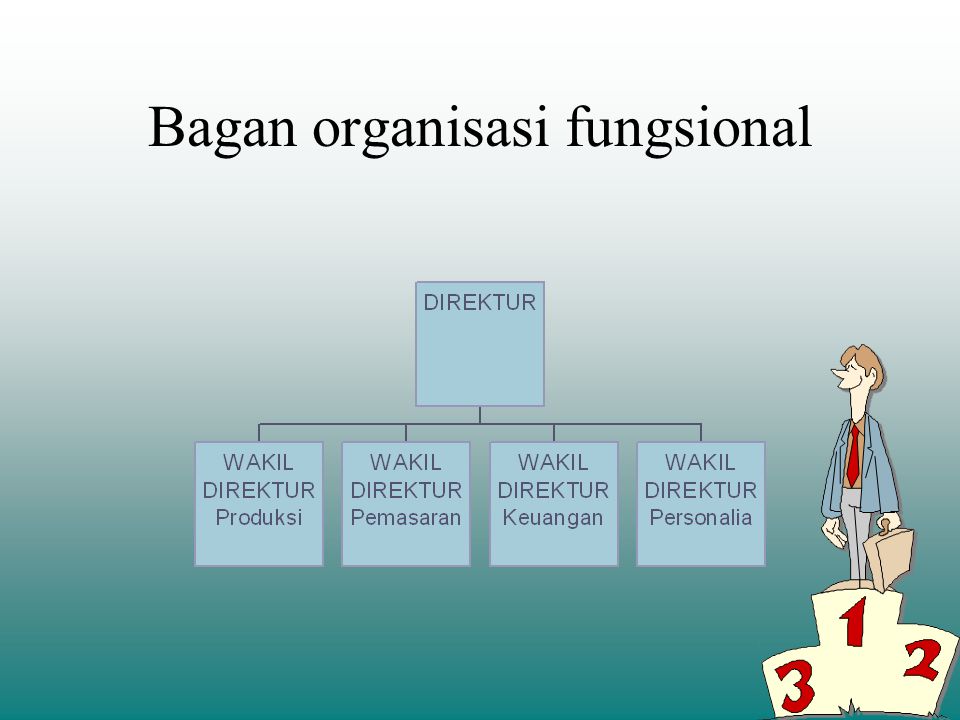 Bagan organisasi fungsional