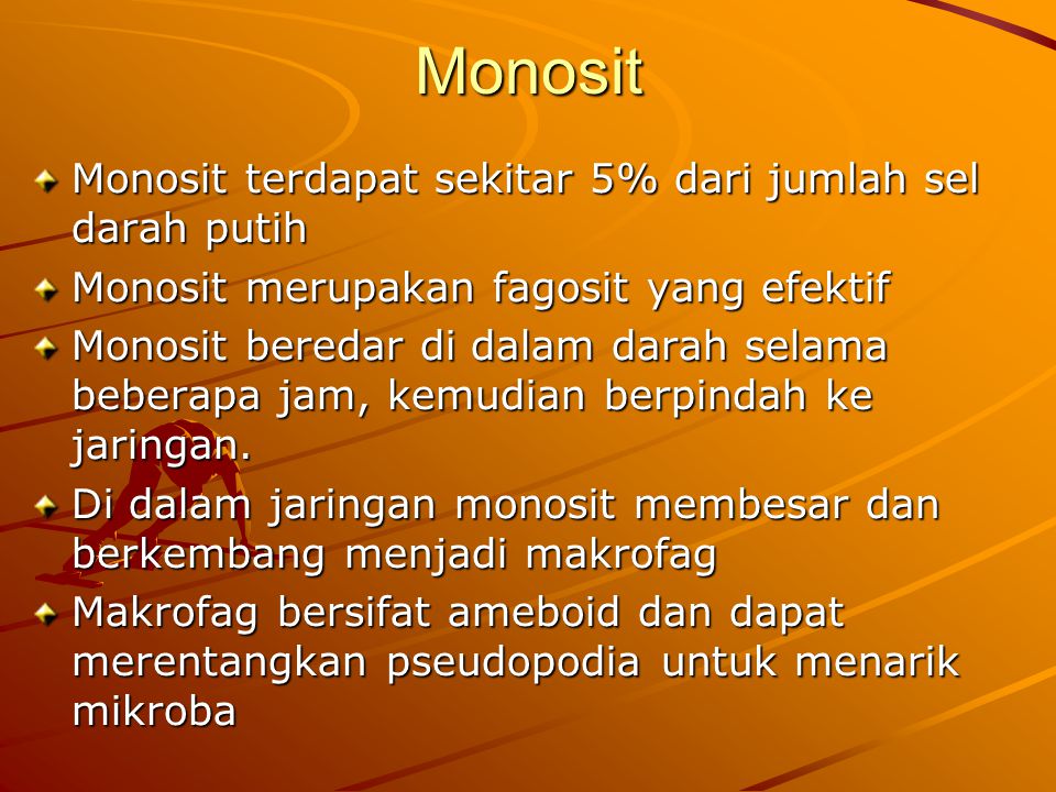 Monosit Monosit terdapat sekitar 5% dari jumlah sel darah putih