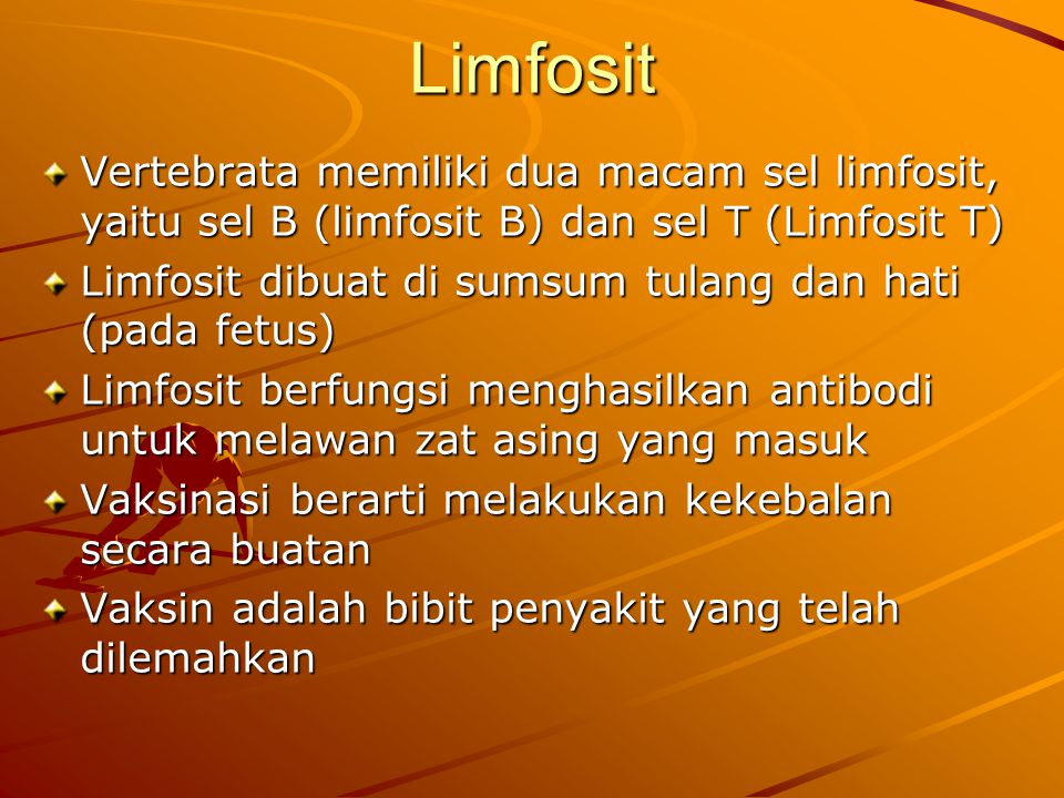 Limfosit Vertebrata memiliki dua macam sel limfosit, yaitu sel B (limfosit B) dan sel T (Limfosit T)