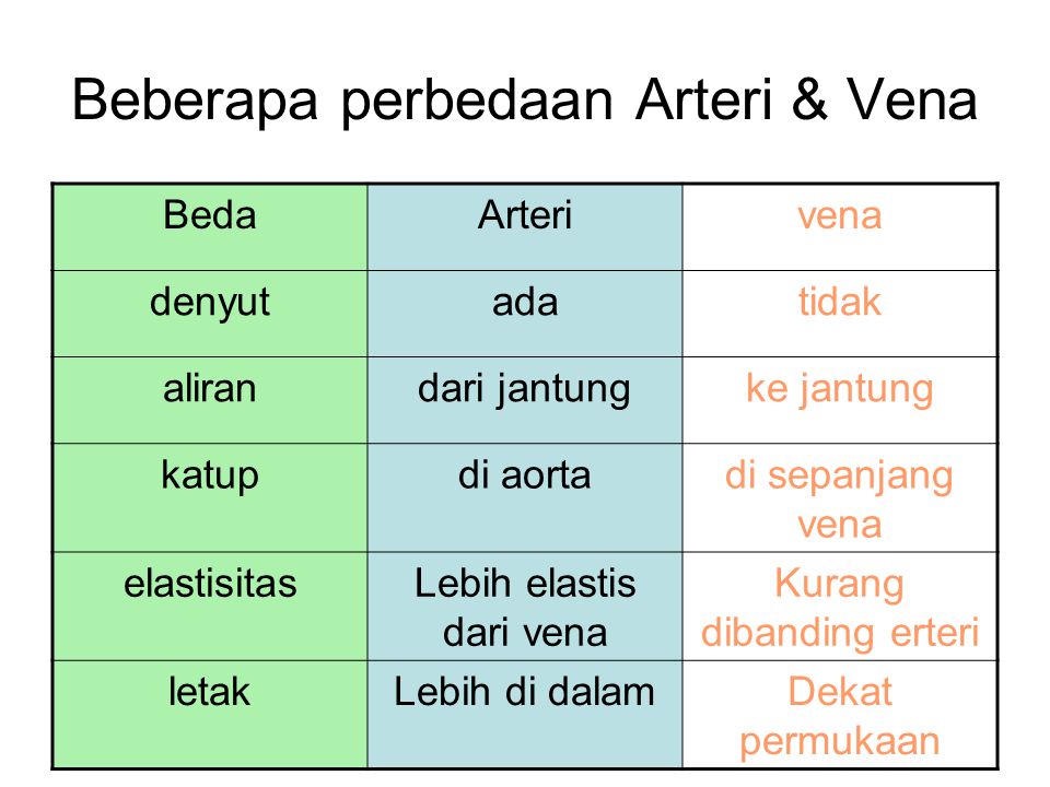 Beberapa perbedaan Arteri & Vena