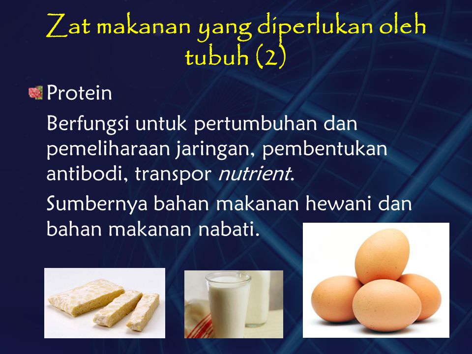 Zat makanan yang diperlukan oleh tubuh (2)