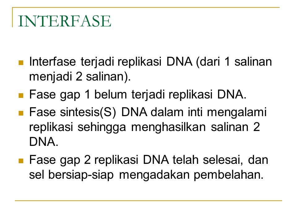 INTERFASE Interfase terjadi replikasi DNA (dari 1 salinan menjadi 2 salinan). Fase gap 1 belum terjadi replikasi DNA.