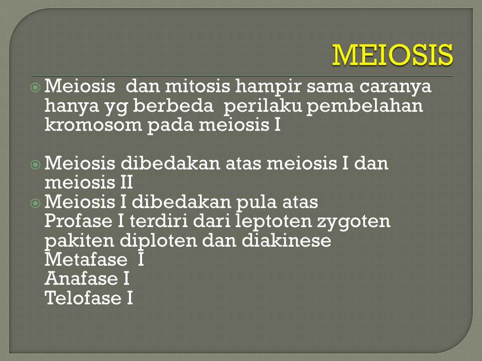 MEIOSIS Meiosis dan mitosis hampir sama caranya hanya yg berbeda perilaku pembelahan kromosom pada meiosis I.