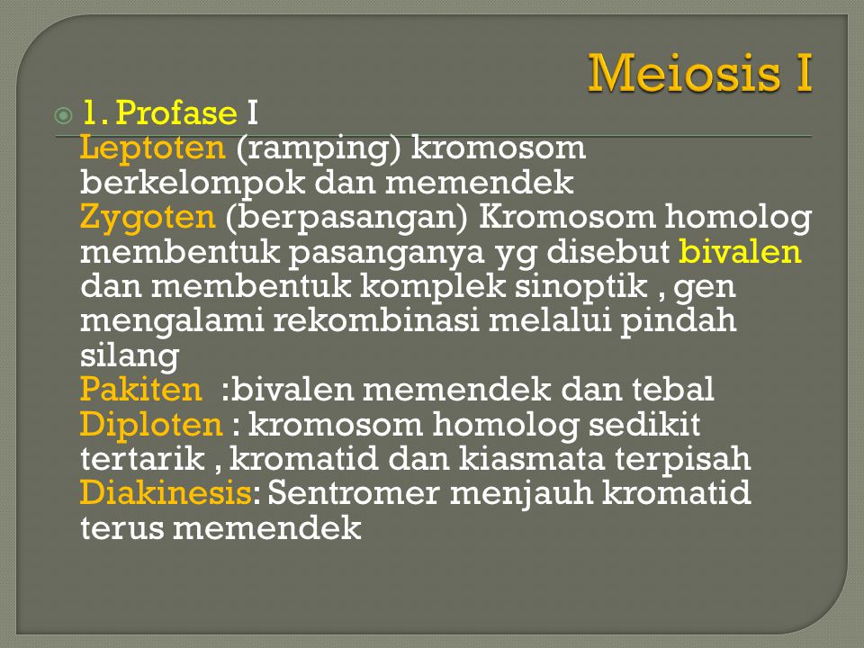 Meiosis I