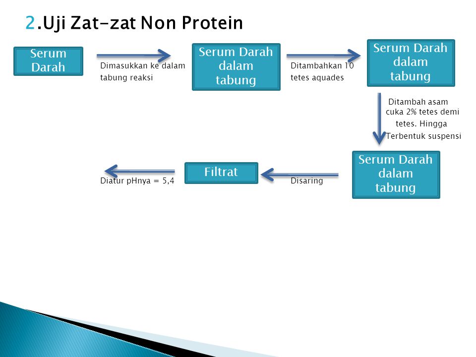 2.Uji Zat-zat Non Protein
