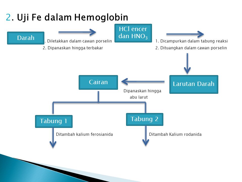 2. Uji Fe dalam Hemoglobin
