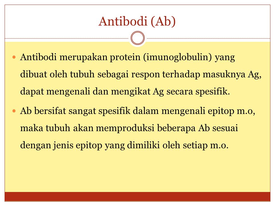 Antibodi (Ab)