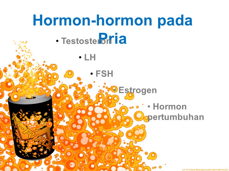 Hormon-hormon pada Pria