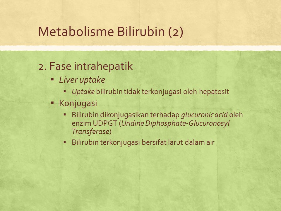 Metabolisme Bilirubin (2)
