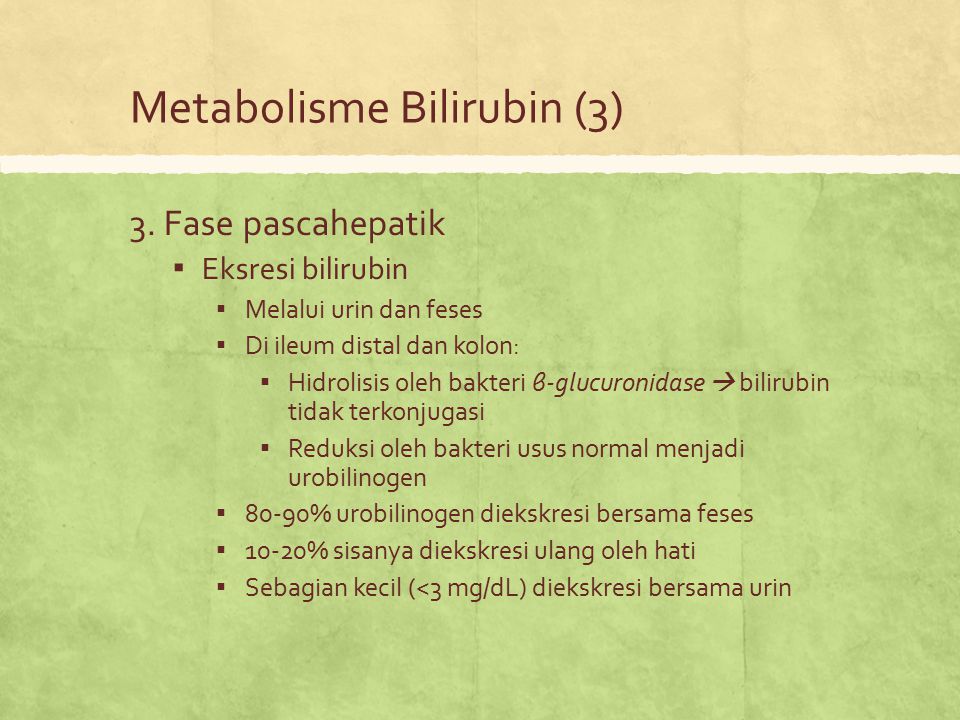 Metabolisme Bilirubin (3)
