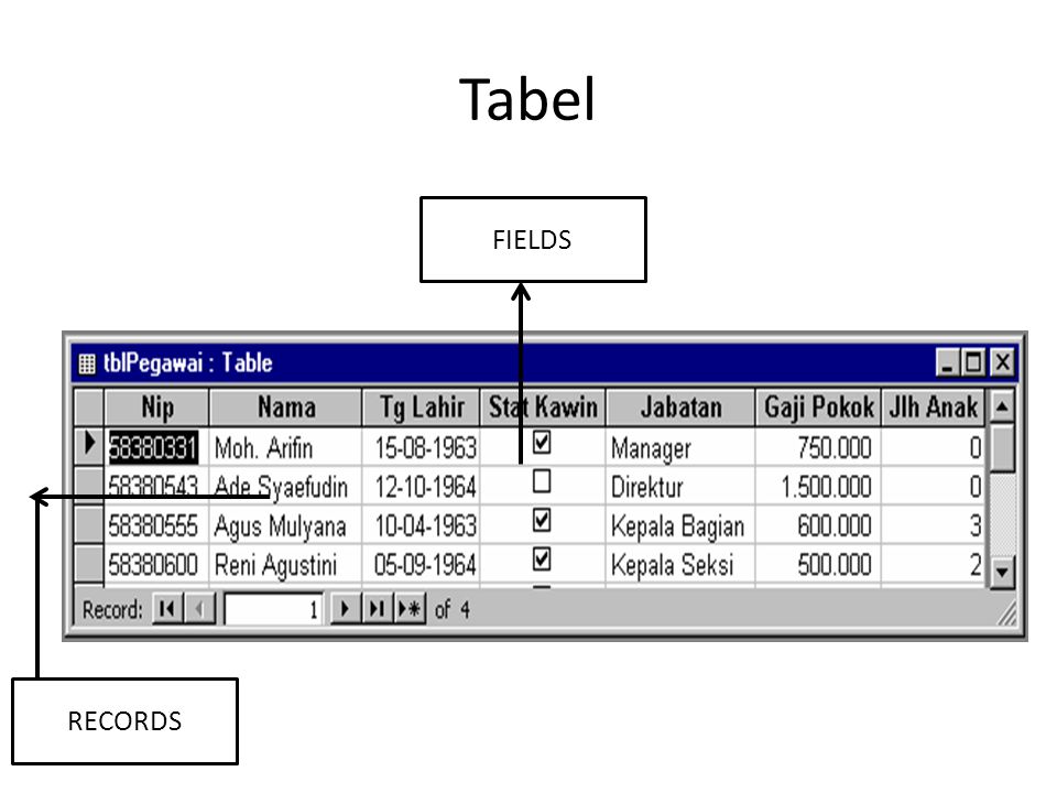 Tabel FIELDS RECORDS