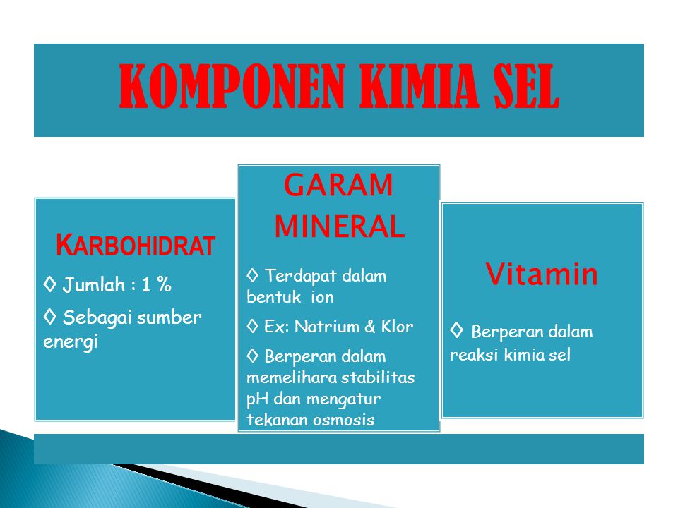 GARAM MINERAL KARBOHIDRAT Vitamin ◊ Jumlah : 1 %