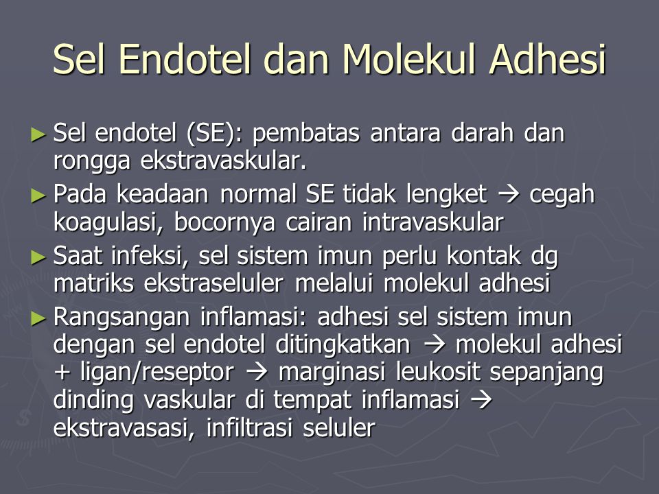 Sel Endotel dan Molekul Adhesi