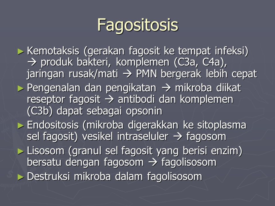 Fagositosis Kemotaksis (gerakan fagosit ke tempat infeksi)  produk bakteri, komplemen (C3a, C4a), jaringan rusak/mati  PMN bergerak lebih cepat.