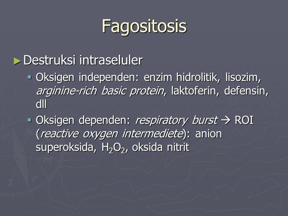 Fagositosis Destruksi intraseluler
