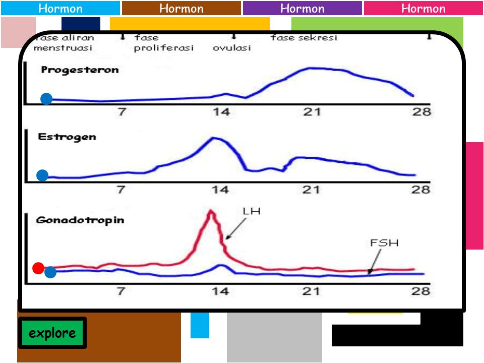 Biologi L K U S I S U M S I N R A E S T Log In About Biologi Ppt Download