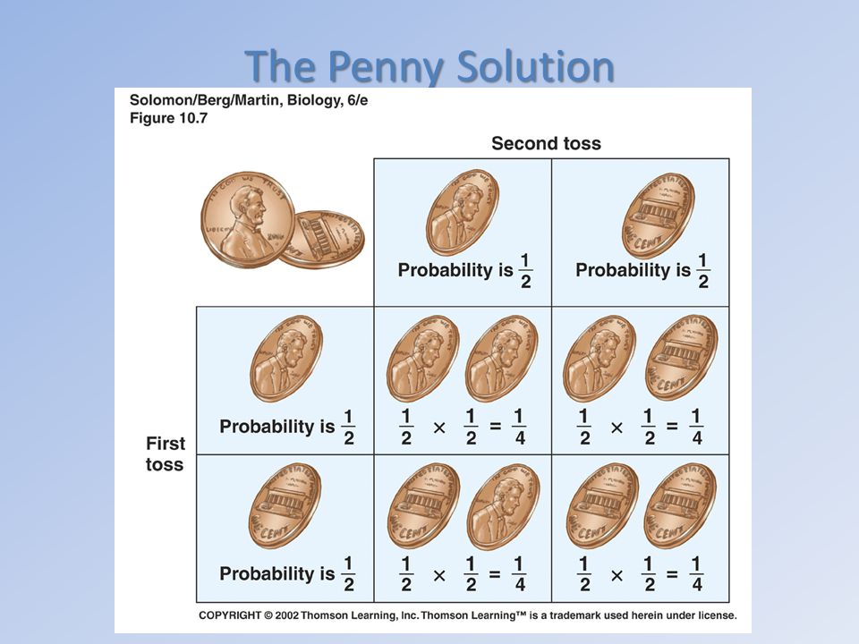 The Penny Solution