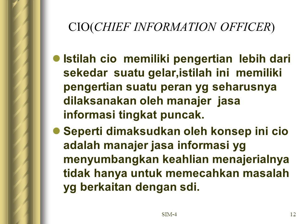 CIO(CHIEF INFORMATION OFFICER)