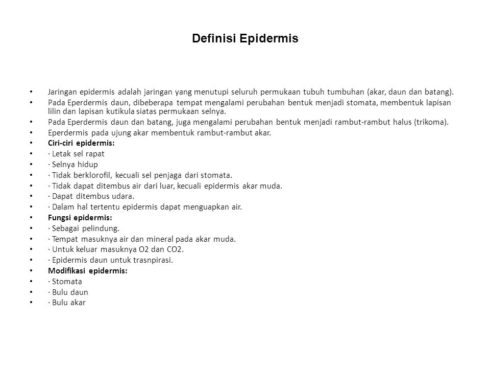 Definisi Epidermis Jaringan epidermis adalah jaringan yang menutupi seluruh permukaan tubuh tumbuhan (akar, daun dan batang).