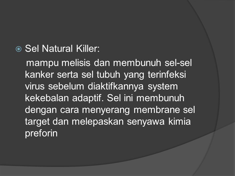 Sel Natural Killer: