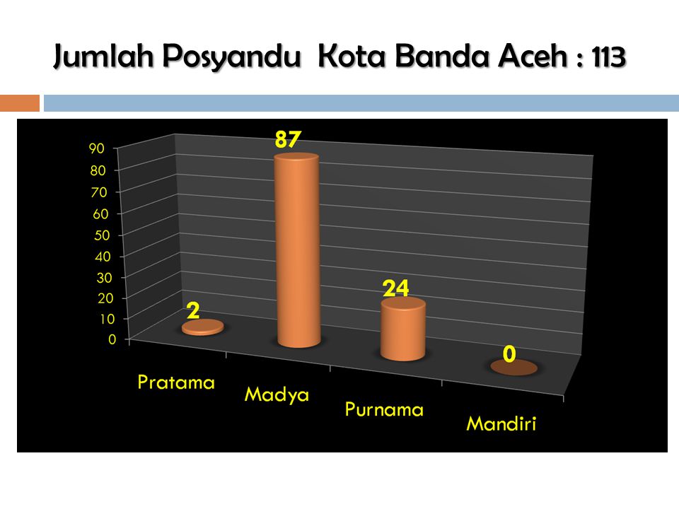 Jumlah Posyandu Kota Banda Aceh : 113