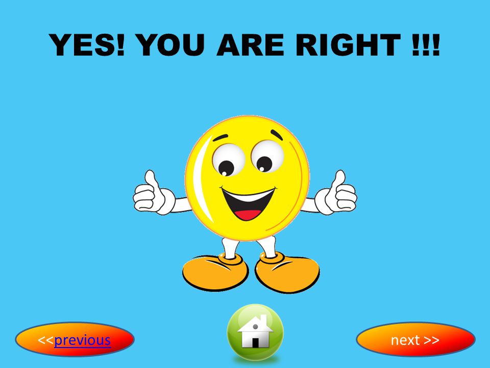 YES! YOU ARE RIGHT !!! <<previous next >>