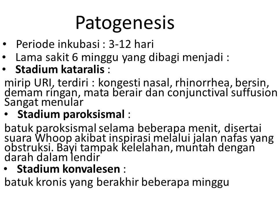 Patogenesis • Periode inkubasi : 3-12 hari