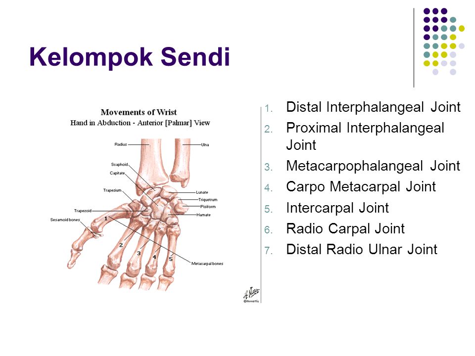 Kelompok Sendi Distal Interphalangeal Joint