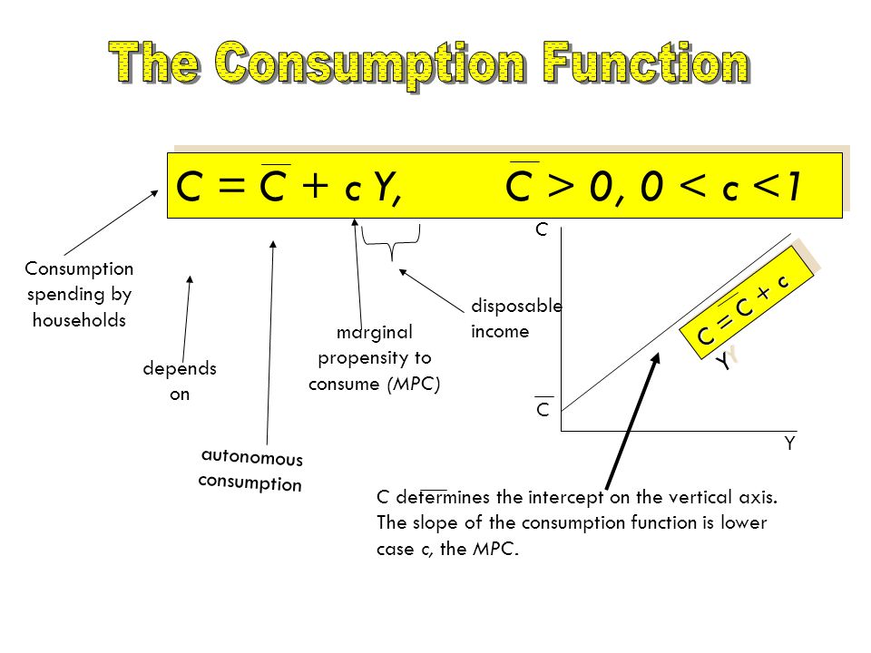The Consumption Function