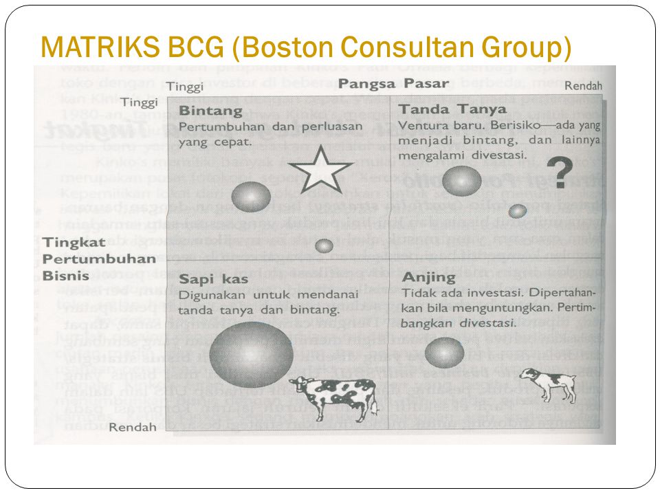 MATRIKS BCG (Boston Consultan Group)