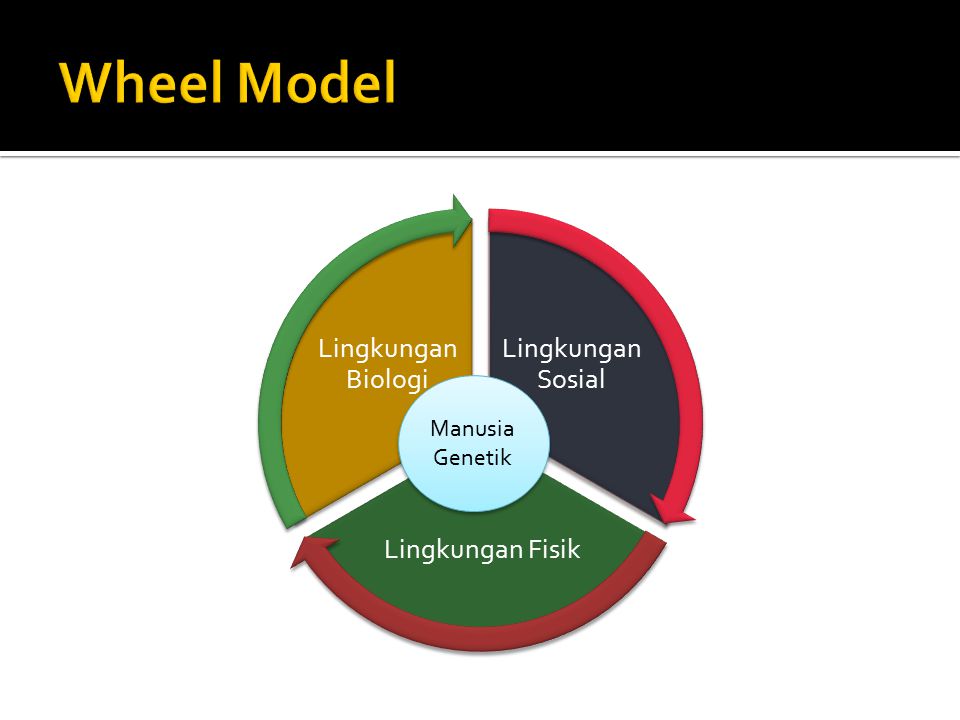 Wheel Model ManusiaGenetik Lingkungan Sosial Lingkungan Fisik