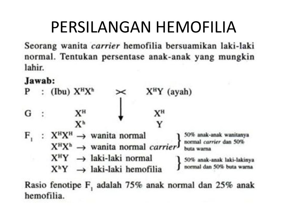 PERSILANGAN HEMOFILIA