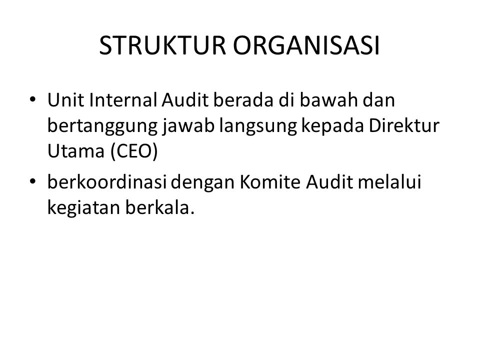 STRUKTUR ORGANISASI Unit Internal Audit berada di bawah dan bertanggung jawab langsung kepada Direktur Utama (CEO)