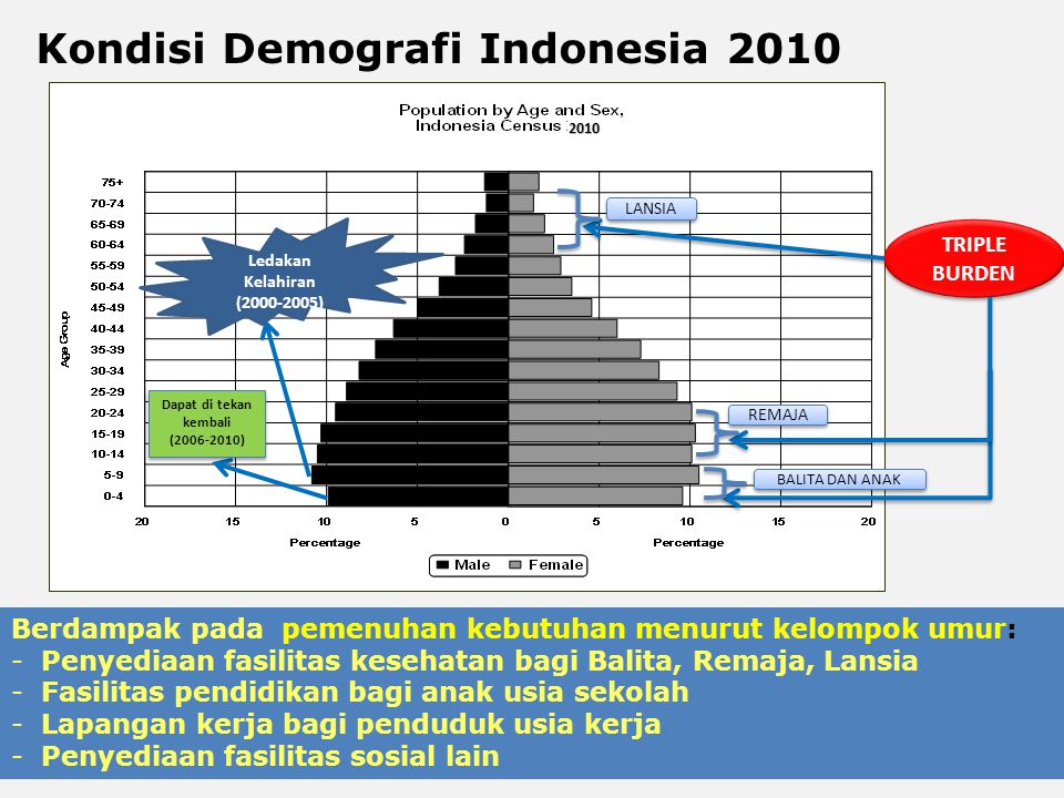 Kondisi Demografi Indonesia 2010
