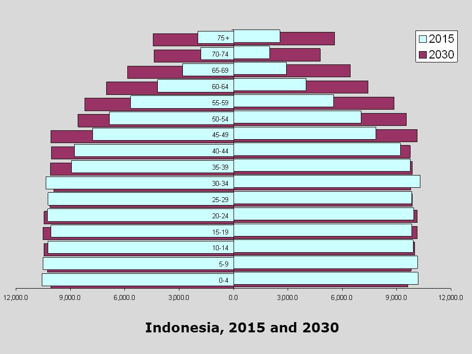 Indonesia, 2015 and 2030