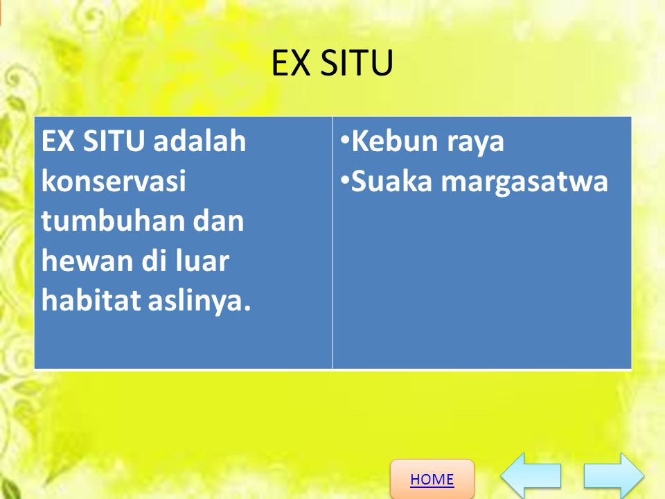 EX SITU EX SITU adalah konservasi tumbuhan dan hewan di luar habitat aslinya.