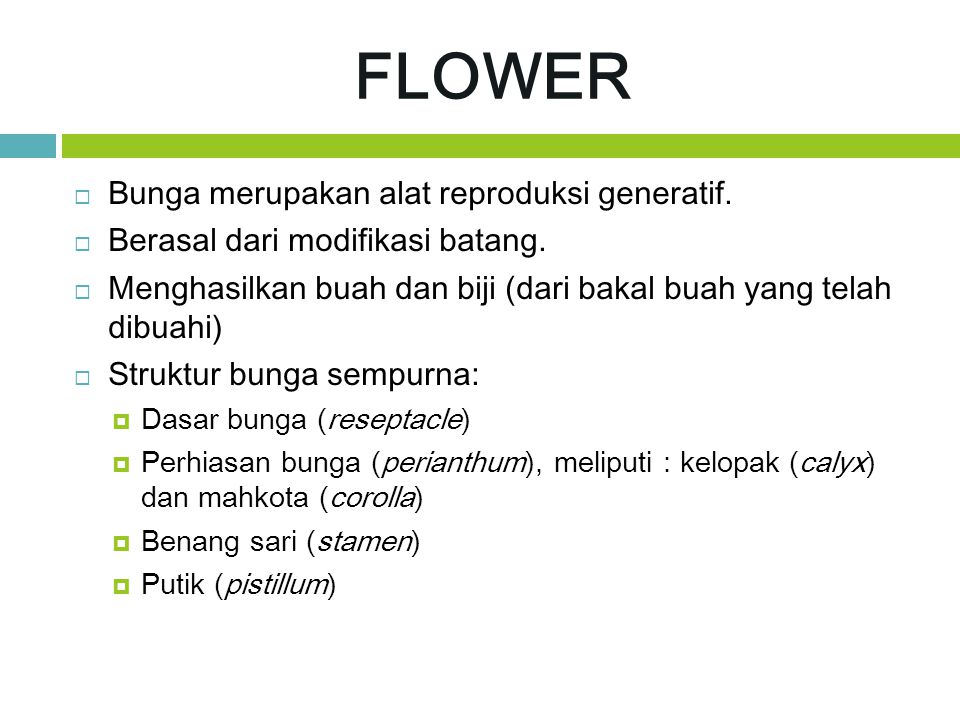FLOWER Bunga merupakan alat reproduksi generatif.