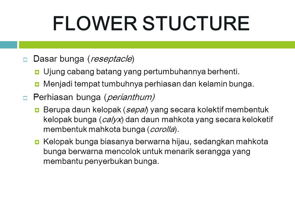 FLOWER STUCTURE Dasar bunga (reseptacle) Perhiasan bunga (perianthum)