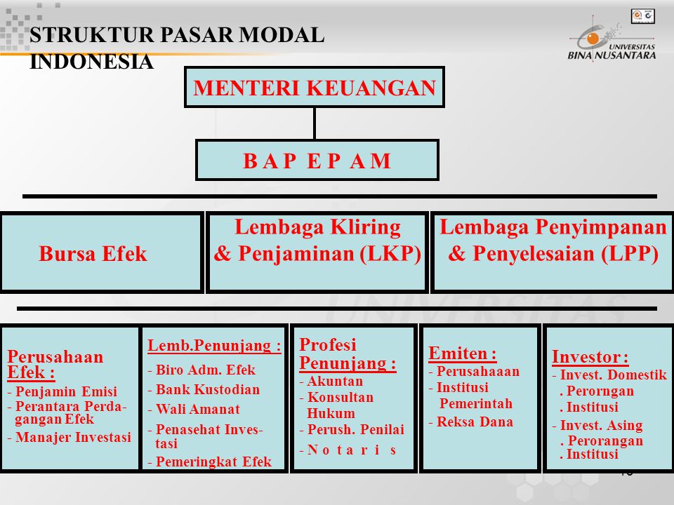 STRUKTUR PASAR MODAL INDONESIA