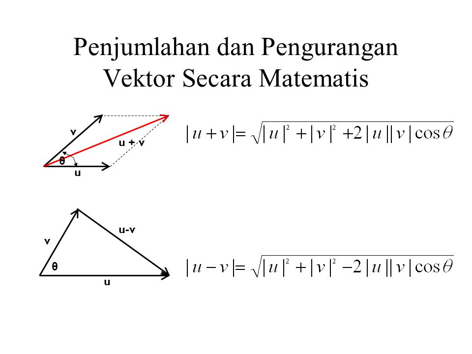 Vektor Ppt Download