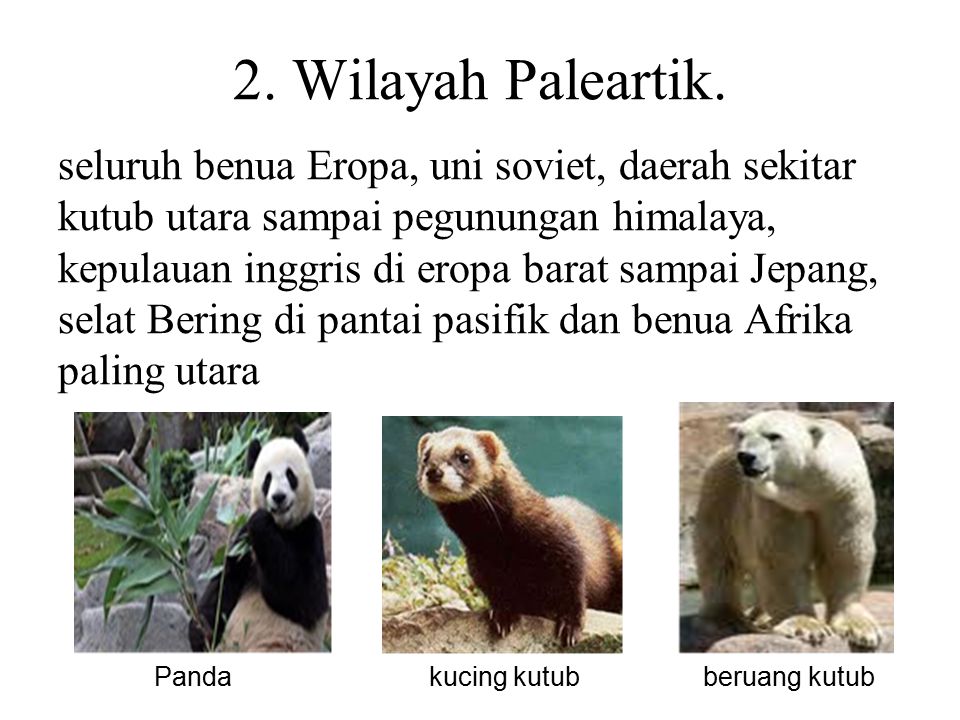 43+ Gambar Fauna Daerah Oriental Gratis Terbaik