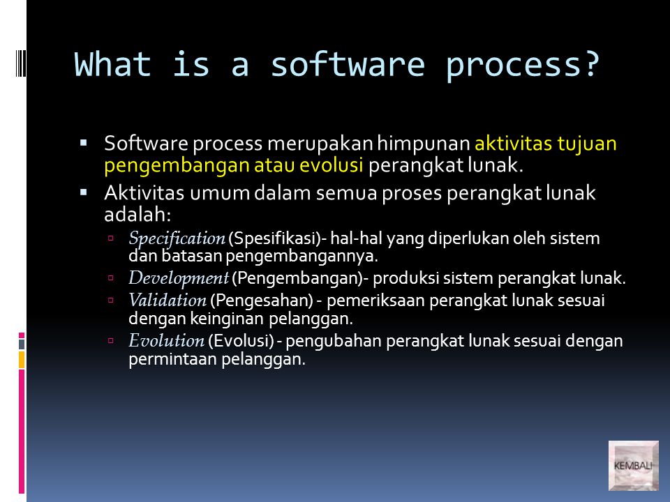 What is a software process