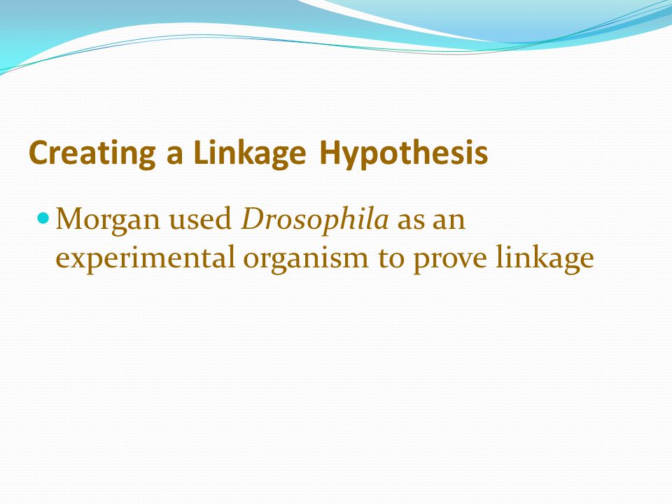 Creating a Linkage Hypothesis