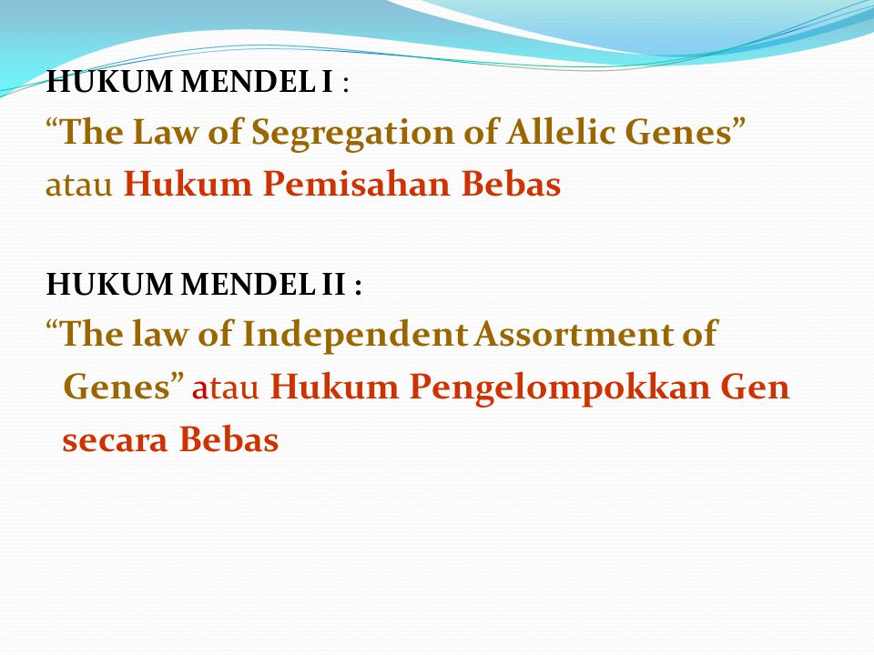 The Law of Segregation of Allelic Genes atau Hukum Pemisahan Bebas