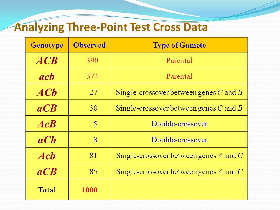 Analyzing Three-Point Test Cross Data