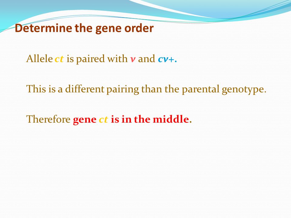 Determine the gene order