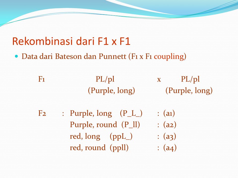 Rekombinasi dari F1 x F1 Data dari Bateson dan Punnett (F1 x F1 coupling) F1 PL/pl x PL/pl.