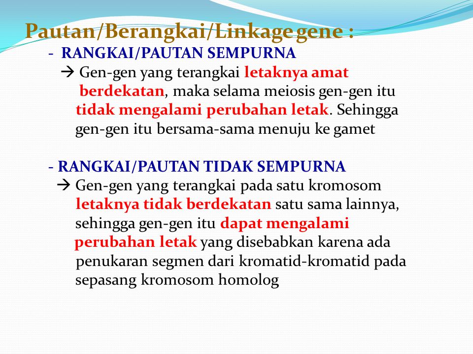 Pautan/Berangkai/Linkage gene :
